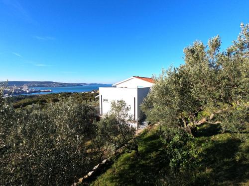 House among olive trees with a sea view 1 in Hrvatini