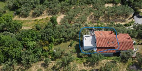 House among olive trees with a sea view 1 in Hrvatini