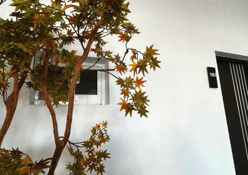 Happy Guesthouse – Xiaoliuqiu, CA