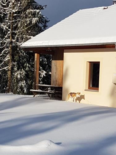 Chalet Beaujon Chapelle-des-Bois gîte à louer Chapelle-des-Bois