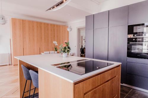 Luxueux duplex Elysées, Parigi (foto 8)