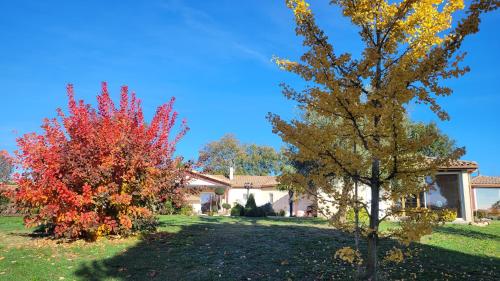 LE CLOS CASTEL -Chambre d'hôtes