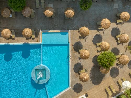 Hotel Papillon - image 11