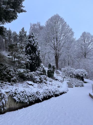 Haus am Wald - image 12