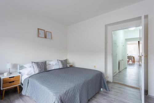 Prague - Karlin Apartments, Praha (fotografie 7)