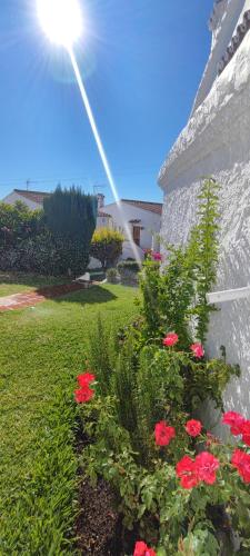 Capistrano Village Leo's Smile House by VG - image 4