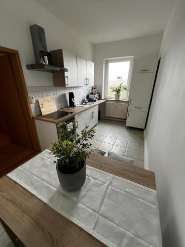 廚房, Ferienwohnung Haus Paraschiv in 奧厄