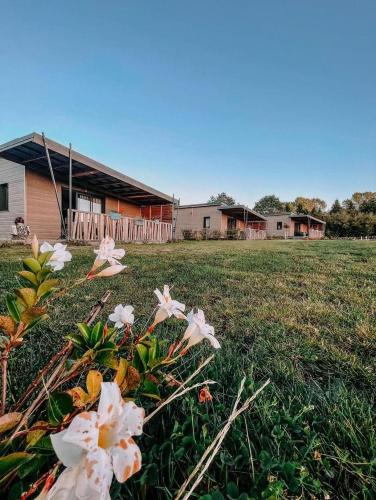 . Auvergne chalets Sancy