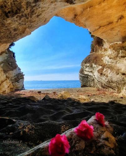 Governors Beach Panayiotis