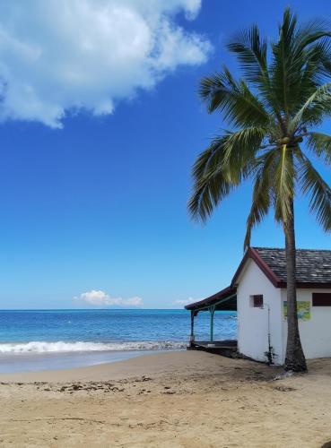 Nearby attraction, Boheme Carib - Vue mer & Massages in Bas Vent