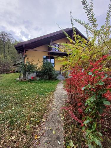 House in the Forest