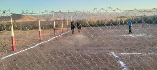 Igrane House, Marrakech (foto 10)