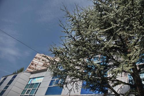 Happy Star Club - image 10