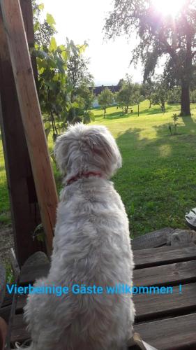  Gemütlichkeit am Vierkanthof - Apartment 1 in Wörterberg