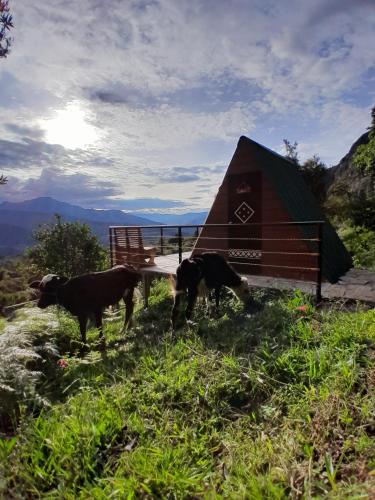 Hotelli välisilme, Mamaterra Glamping in Guateque