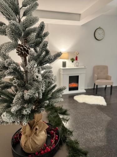 Seadmed, Isaak Appartment Stadtjuwel in Waldshut-Tiengen