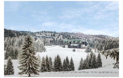 Silver Mountain, Duplex 3 camere - 250 mp luxury garden - Poiana Brasov, Braşov (Foto 7)