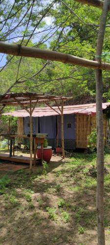 Exterior view of Jungle Glamping Tent Two