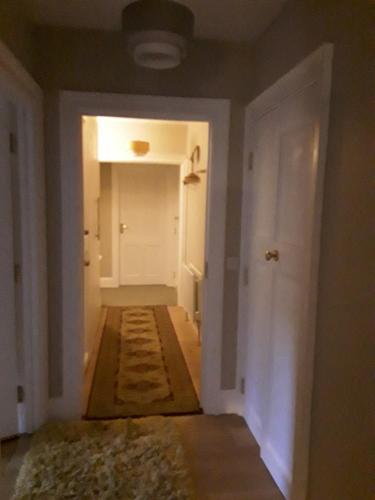 FOREST VIEW Woodland lodge in Wicklow