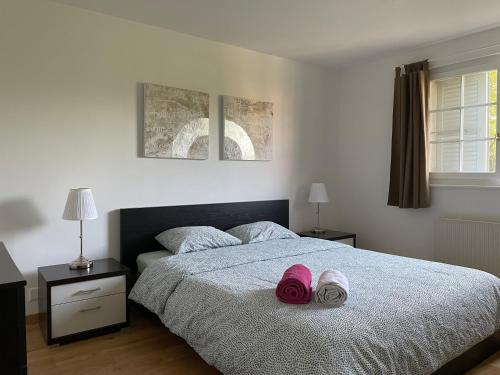 B&B Aclens - Magnifique et spacieux (95m2) proche de Lausanne - Bed and Breakfast Aclens