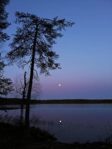 Arctic Villa Tuomi