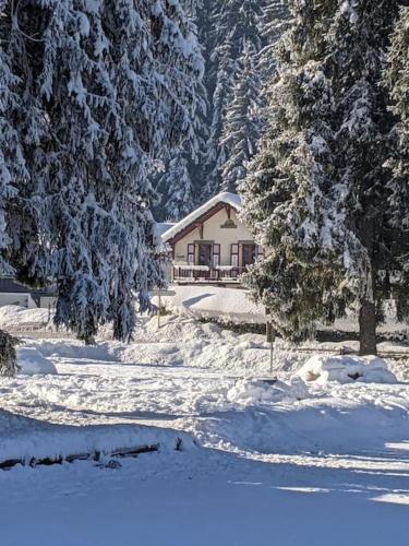 Campeggio - Chamonix-Mont-Blanc -  - Chalet des glaciers - Image #1