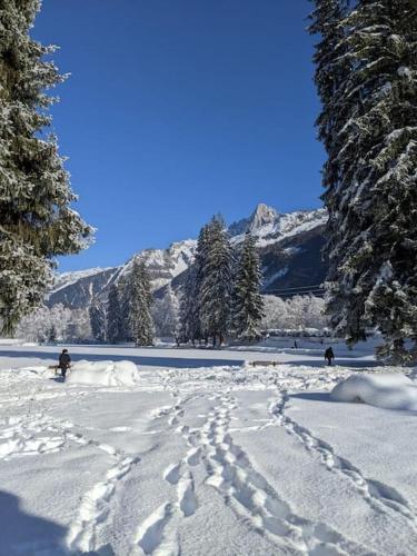 ที่เที่ยวใกล้ที่พัก, Chalet des glaciers in เล ปราซ ด็อง บาส