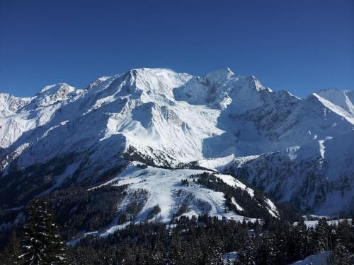 ที่เที่ยวใกล้ที่พัก, Chalet des glaciers in เล ปราซ ด็อง บาส