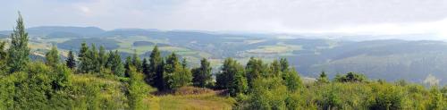 Hotel Niedersfeld-Winterberg - main image