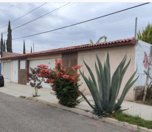 Suites Pozos Mágico (Suites Pozos Magico) in San Luis de la Paz