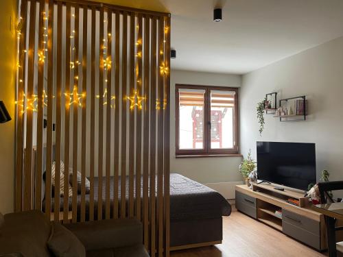 Apartman Aleni - Bela Reka, Brzeće (Apartman Aleni - Bela Reka, Brzece) in Brzeće