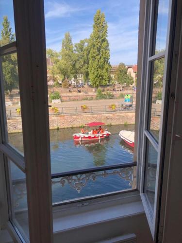 Au bord de l’eau, Strasbourg (photo 6)