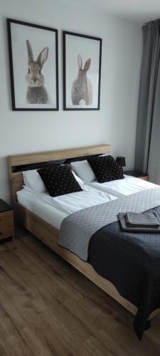 Apartamenty 77, Częstochowa