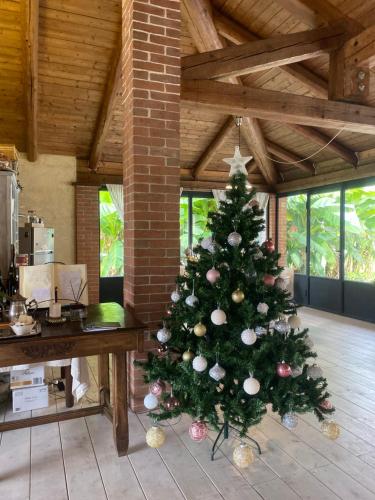  Bed & Breakfast Il mio Gelso in Villanova dʼAsti