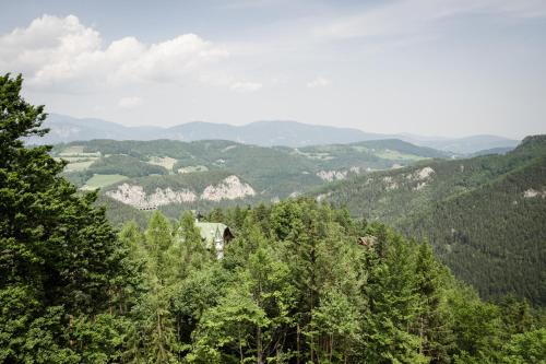 Panoramahotel Wagner - Das Biohotel am Semmering