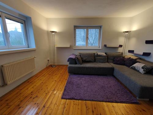 Gemütliches Haus mit schönem Garten, Viena (foto 7)
