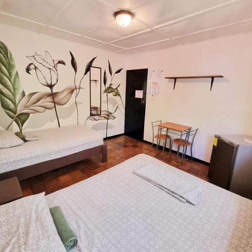 Casa Pura Vida Surf Hostel - Tamarindo Costa Rica in Tamarindo