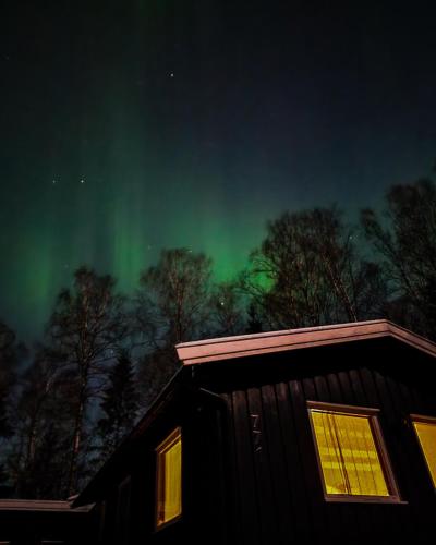 Forest Cottage - Fluberg