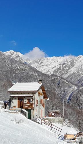 Casa all'Alpe Gaggetto B & B - Apartment - Anzino