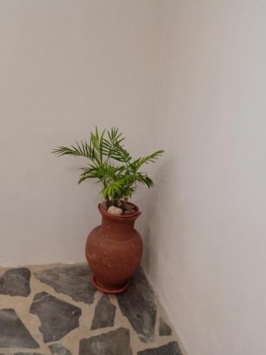  Quintinha dos Pombinhos in Montoito