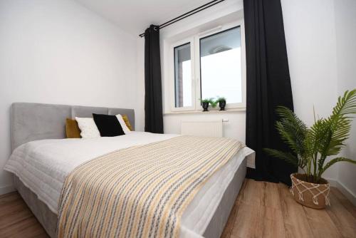 Exterior view of SuperApart B. Karoliny 25