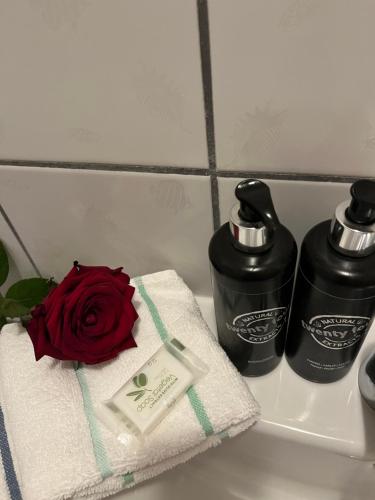 Pension Stadt Mannheim in 瓦爾德夫