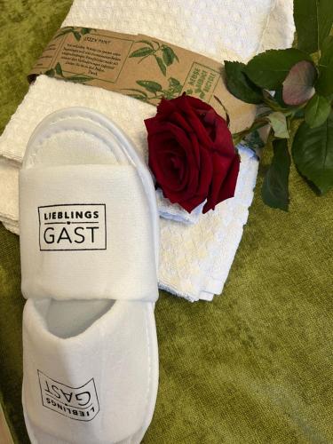 Pension Stadt Mannheim in 瓦爾德夫