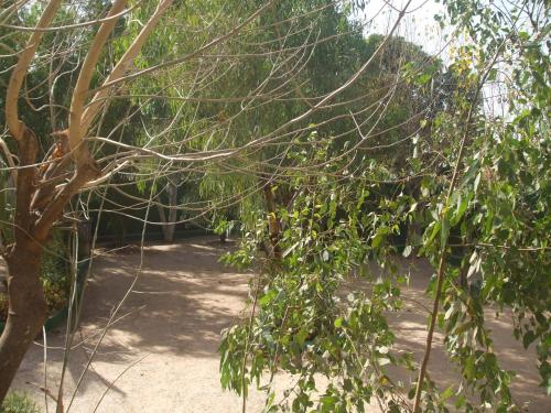 Jardín, Camping-Sukuta & Lodge in Serekunda