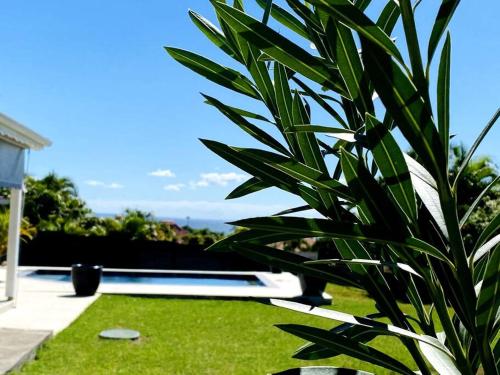Villa de charme avec piscine, vue mer et montagne. Charming villa with pool, mountain and sea view - Location, gîte - Capesterre-Belle-Eau