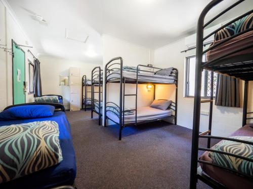 Cape Byron YHA Room Type - Bed in 10-Bed Female Dormitory Room