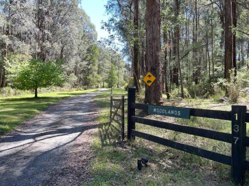 Ieeja, Woodlands rainforest retreat in Narbethong