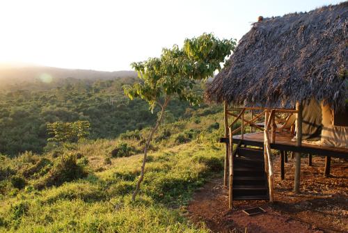 Crater Forest Tented Lodge