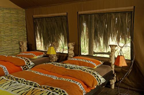 Crater Forest Tented Lodge