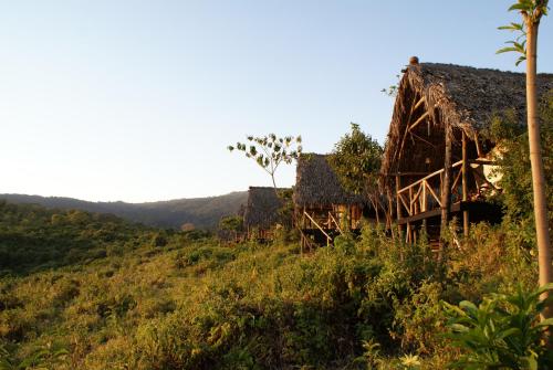 Crater Forest Tented Lodge